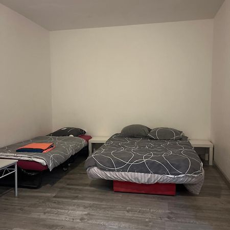 שטרסבורג Logement Type Studio 1 Piece Proche Zenith מראה חיצוני תמונה