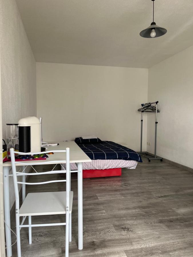 שטרסבורג Logement Type Studio 1 Piece Proche Zenith מראה חיצוני תמונה